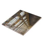 Catherine Palace, detail van de Grote Hal Tegeltje (Zijkant)