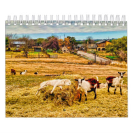 Cathy P. Jones 2020 Kalender