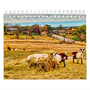 Cathy P. Jones 2020 Kalender