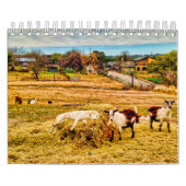 Cathy P. Jones 2020 Kalender (Hoes)