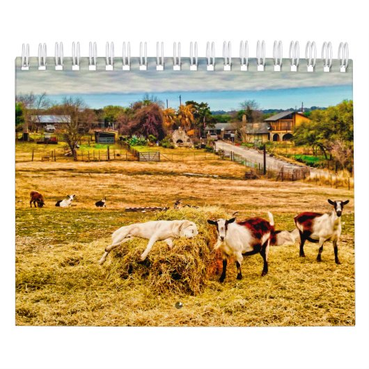 Cathy P. Jones 2020 Kalender (Hoes)