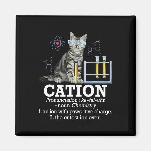 Cation - Funny Chemistry Humor Science Teacher Cat Magneet (Voorkant)