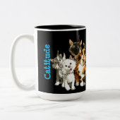 Catitude Cat Lovers Tweekleurige Koffiemok (Links)