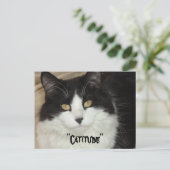 Catitude Cat met een houding Briefkaart (Staand voorkant)