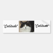 Catitude Cat met een houding Bumpersticker (Voorkant)