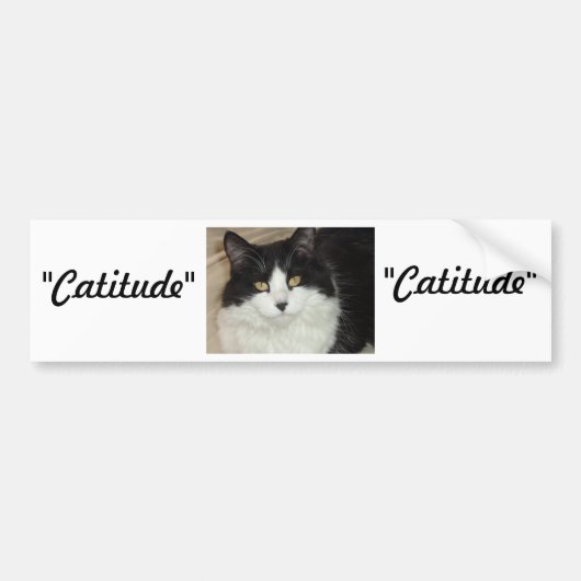 Catitude Cat met een houding Bumpersticker (Voorkant)