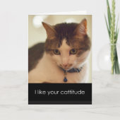 Catitude-Valentijnsdag Feestdagen Kaart (Voorkant)