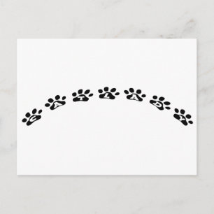 Catlady Briefkaart