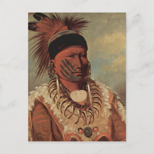 Catlin Native American Art Briefkaart