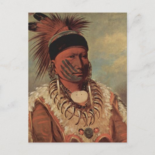 Catlin Native American Art Briefkaart (Voorkant)