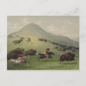 Catlin Native American Art Briefkaart (Voorkant)