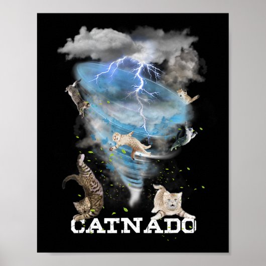 Catnado Funny Beste Graphic Schattigee Kattenliefh Poster (Voorkant)