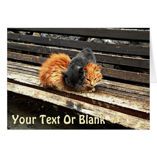 Catnap Cuties (Voorkant Horizontaal)