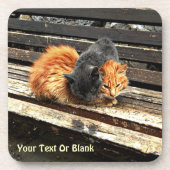 Catnap Cuties Bier Onderzetter (Voorkant)