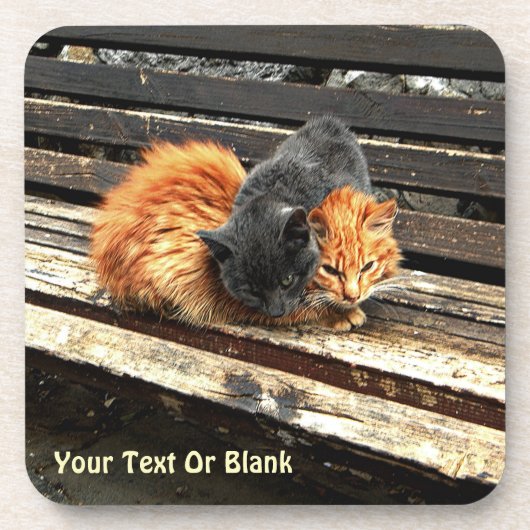 Catnap Cuties Bier Onderzetter (Voorkant)