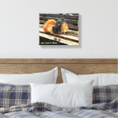 Catnap Cuties Canvas Afdruk (Insitu (Slaapkamer))