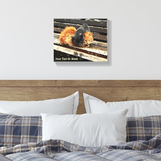Catnap Cuties Canvas Afdruk (Insitu (Slaapkamer))