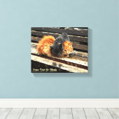 Catnap Cuties Canvas Afdruk (Insitu (Houten vloer))