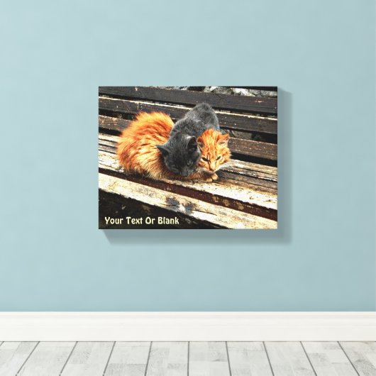 Catnap Cuties Canvas Afdruk (Insitu (Houten vloer))