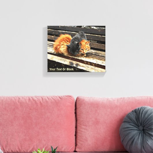 Catnap Cuties Canvas Afdruk (Insitu (Woonkamer))