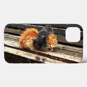Catnap Cuties Case-Mate iPhone Case (Achterkant (horizontaal))