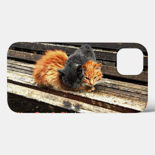 Catnap Cuties Case-Mate iPhone Case