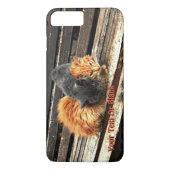Catnap Cuties Case-Mate iPhone Case (Achterkant)