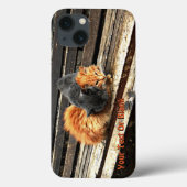 Catnap Cuties Case-Mate iPhone Case (Achterkant)