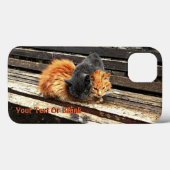 Catnap Cuties Case-Mate iPhone Case (Achterkant (horizontaal))