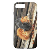 Catnap Cuties Case-Mate iPhone Case (Achterkant)