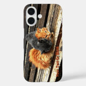 Catnap Cuties Case-Mate iPhone Case (Achterkant)