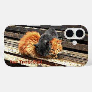 Catnap Cuties iPhone 16 Hoesje