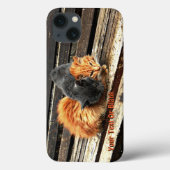 Catnap Cuties Case-Mate iPhone Case (Achterkant)