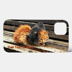 Catnap Cuties Case-Mate iPhone Case