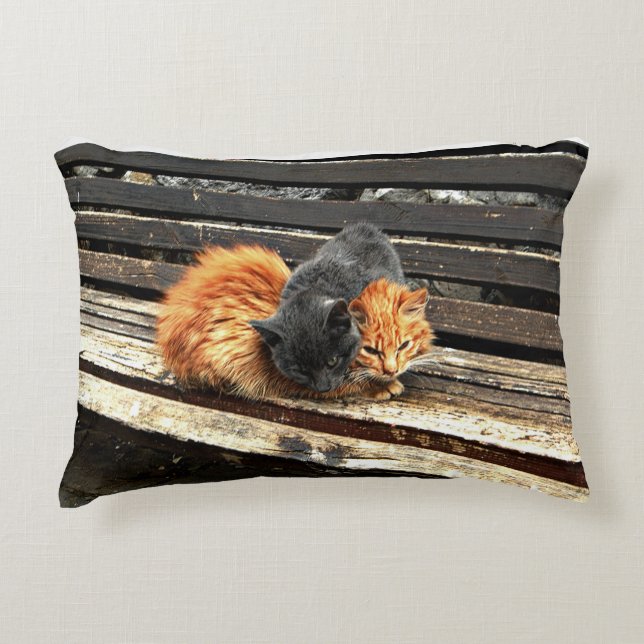 Catnap Cuties Decoratief Kussen (Voorkant)
