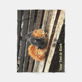 Catnap Cuties Fleece Deken (Voorkant)