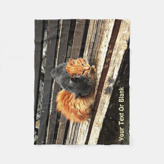 Catnap Cuties Fleece Deken (Voorkant)