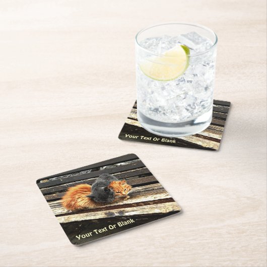 Catnap Cuties Kartonnen Onderzetters (Insitu)