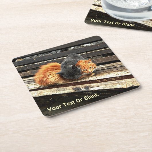 Catnap Cuties Kartonnen Onderzetters (Schuin)