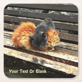 Catnap Cuties Kartonnen Onderzetters (Voorkant)