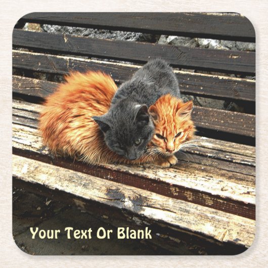 Catnap Cuties Kartonnen Onderzetters (Voorkant)