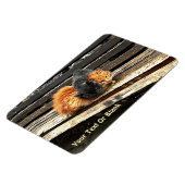 Catnap Cuties Magneet (Linkerzijde)