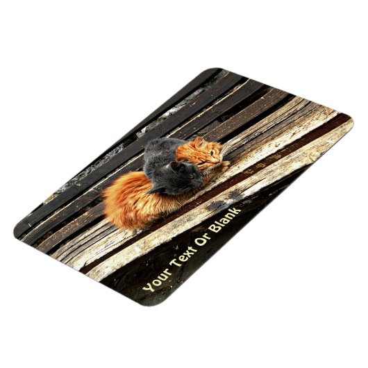 Catnap Cuties Magneet (Linkerzijde)