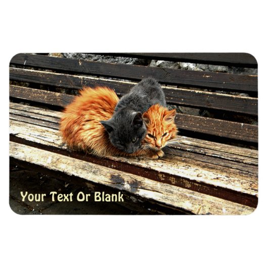 Catnap Cuties Magneet (Horizontaal)