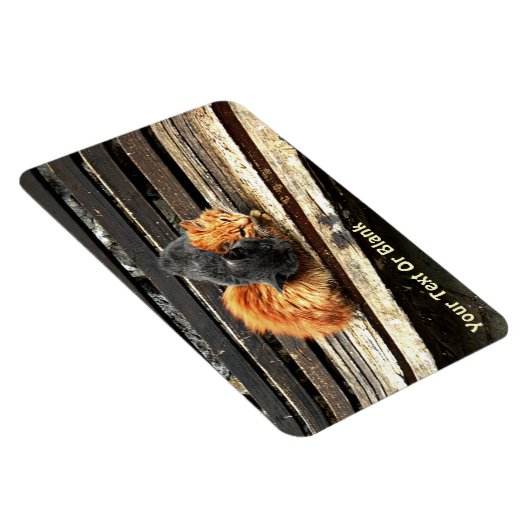 Catnap Cuties Magneet (Rechterzijde)