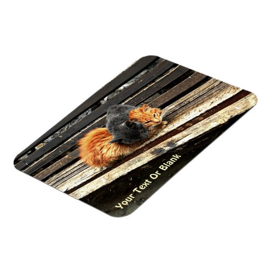 Catnap Cuties Magneet (Linkerzijde)