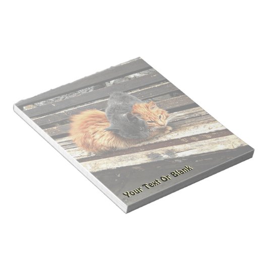 Catnap Cuties Notitieblok (Schuin)