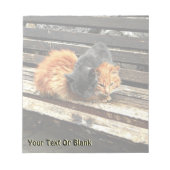 Catnap Cuties Notitieblok (Voorkant)