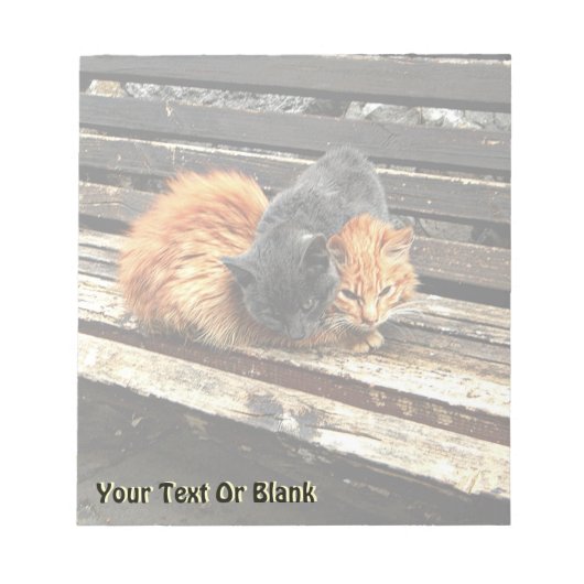 Catnap Cuties Notitieblok (Voorkant)