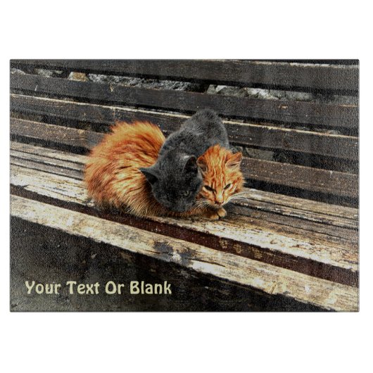 Catnap Cuties Snijplank (Voorkant)